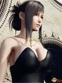 最终幻想同人系列3D